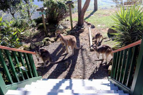 Photo of Others in Vacy
