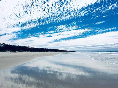 Photo of Others in Casuarina