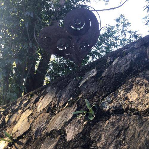 Photo of Outdoor in Buderim