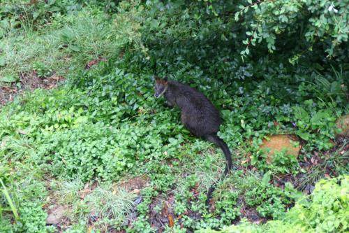 Photo of Others in Kalorama