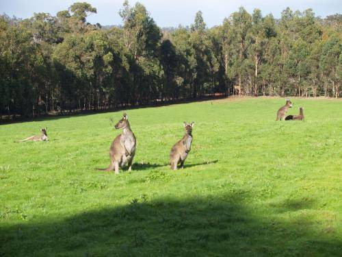 Photo of Others in Beedelup