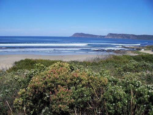 Photo of Others in South Bruny