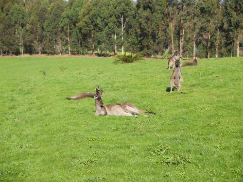 Photo of Others in Beedelup