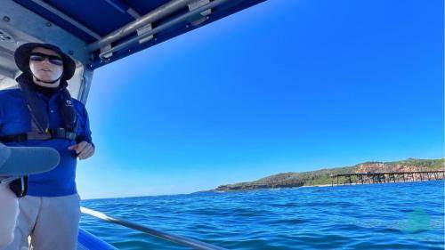 Photo of Others in Catherine Hill Bay