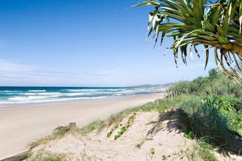 Photo of Others in Peregian Beach