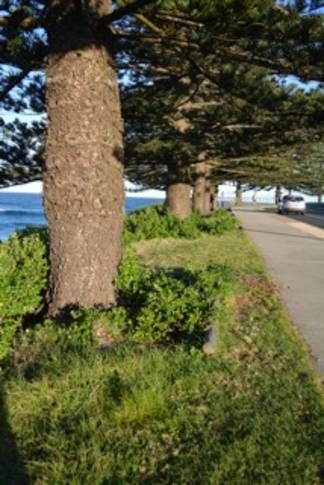 Photo of Others in Tuross Head