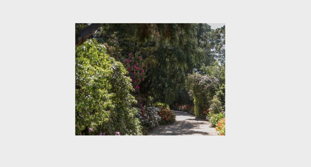 Photo of Others in Toorak