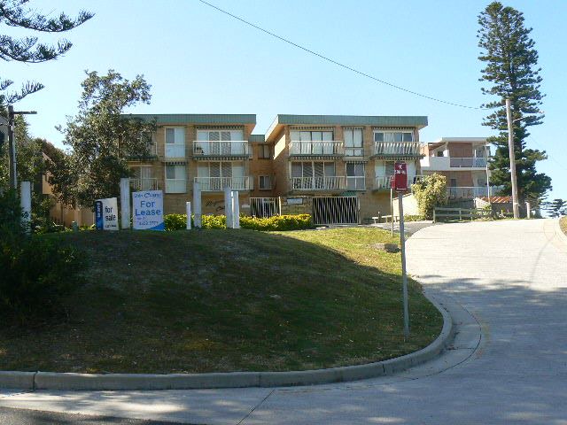 Photo of Buildings in The Entrance North