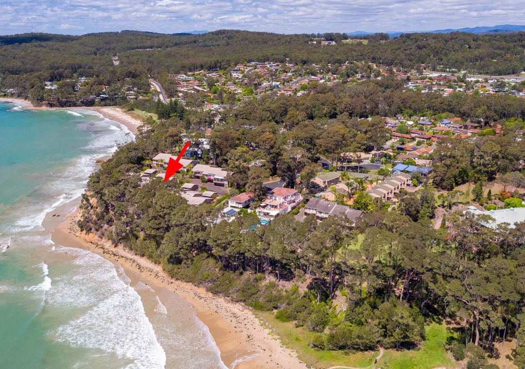 Photo of Outdoor in Denhams Beach