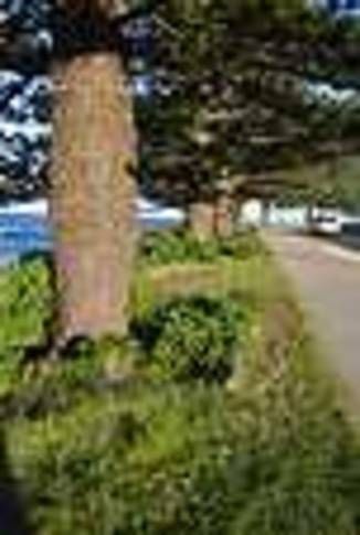 Photo of Others in Tuross Head