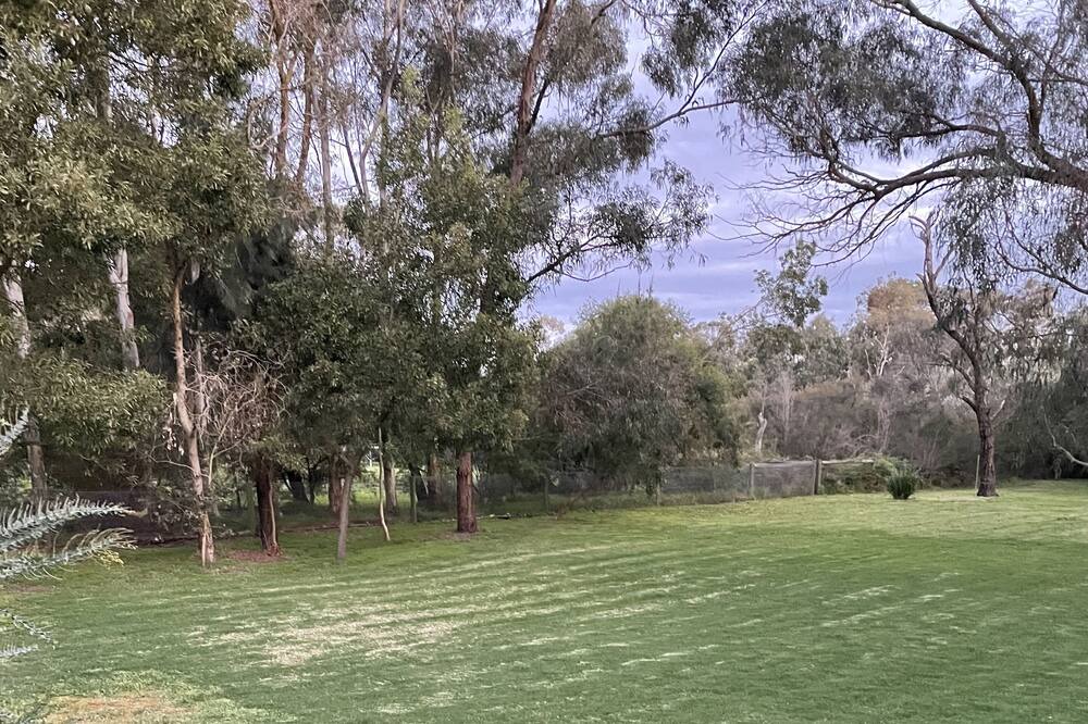 Photo of Others in Langwarrin South