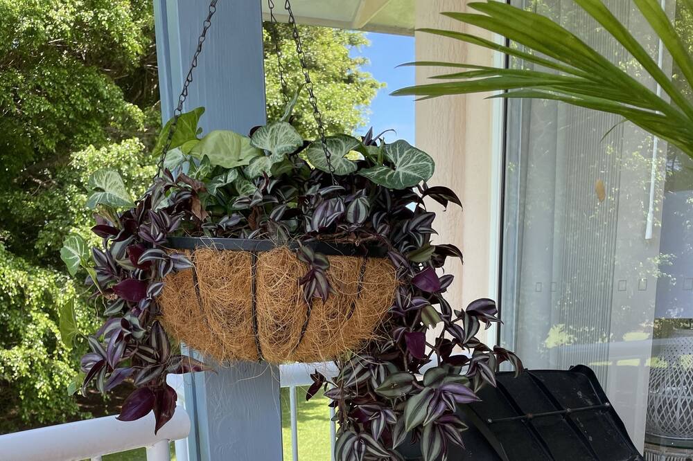Photo of Outdoor in Korora