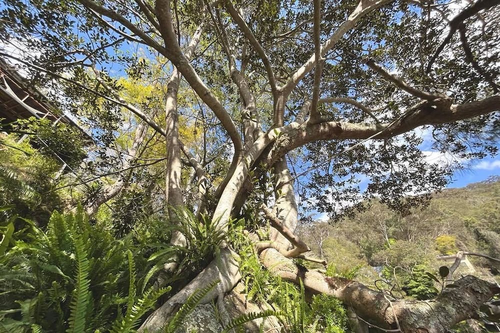 Photo of Outdoor in Sydney