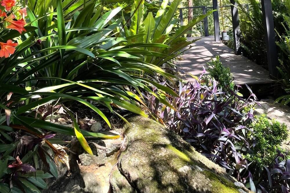 Photo of Outdoor in Sydney