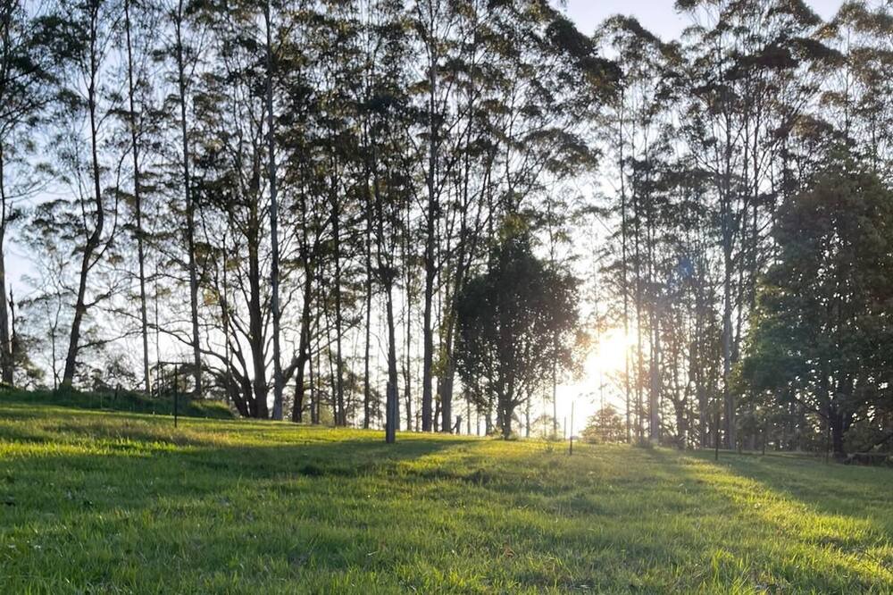 Photo of Others in Kangaroo Valley