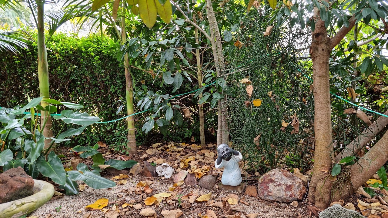 Photo of Outdoor in Maryborough