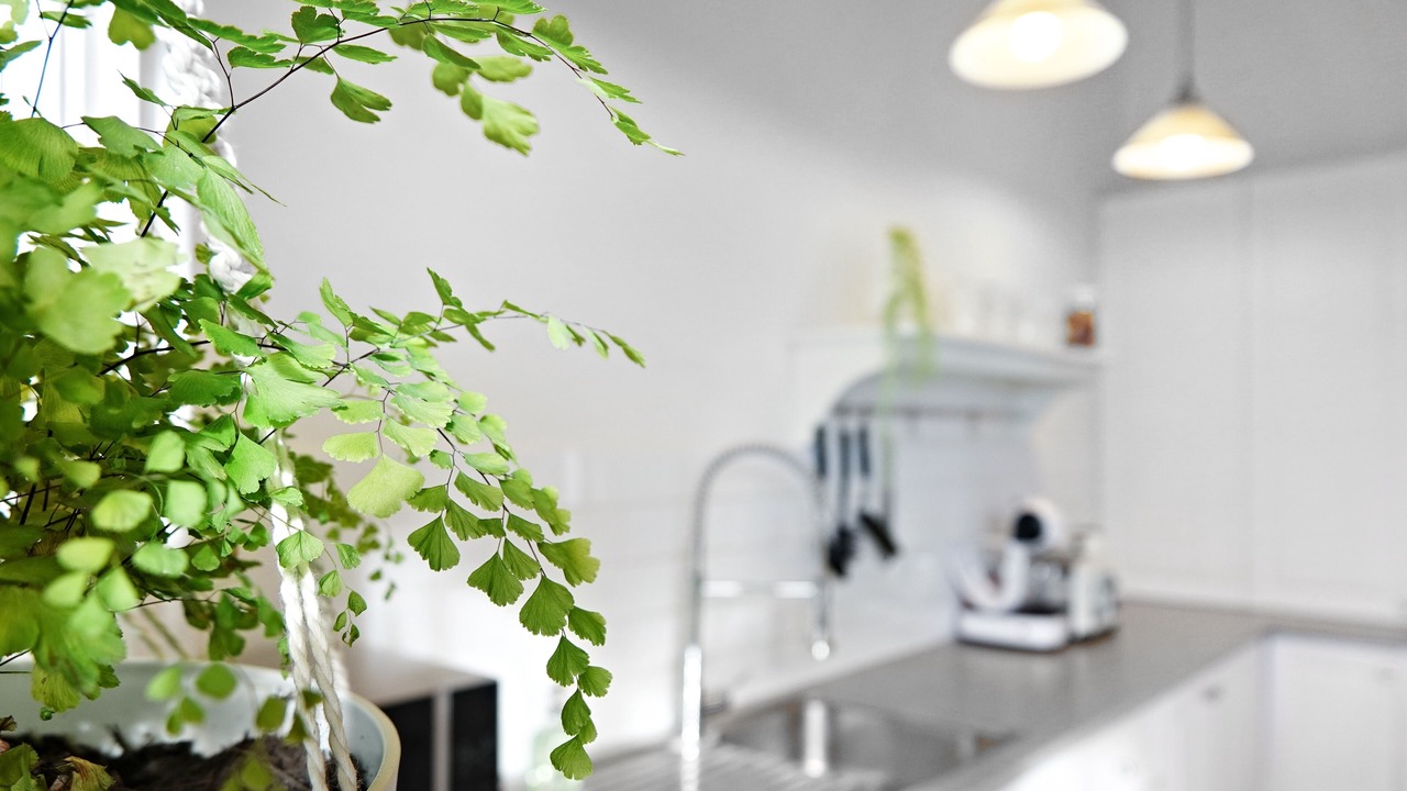 Photo of Kitchen in Scone