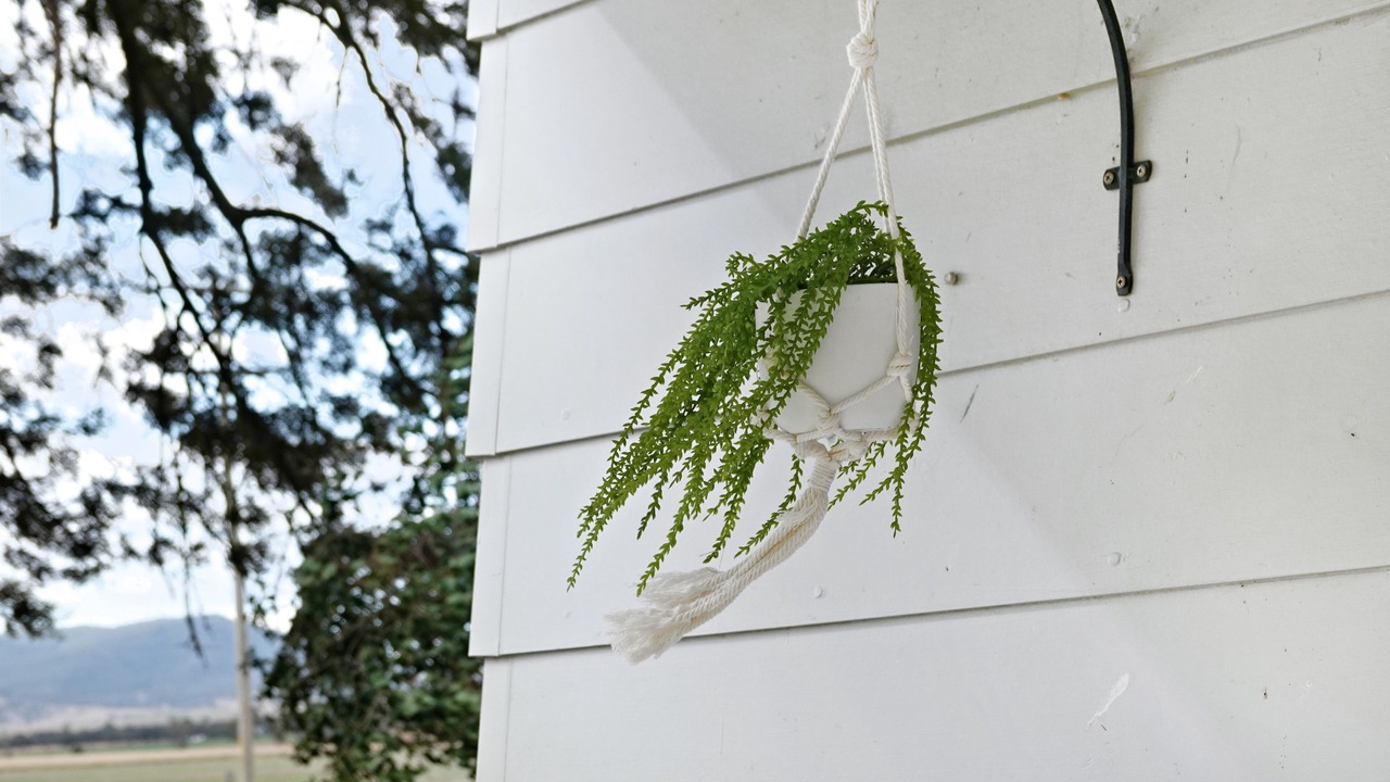 Photo of Outdoor in Scone