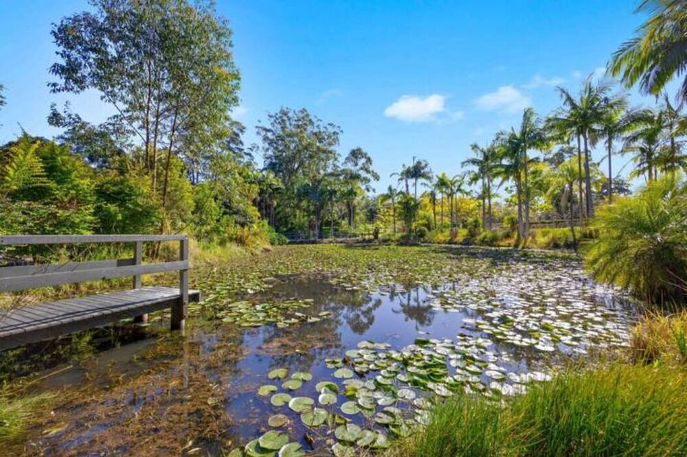 Photo of Outdoor in Lake Innes