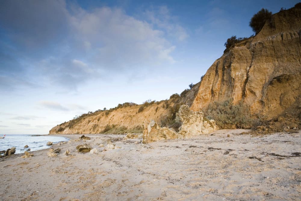 Photo of Others in Bellarine