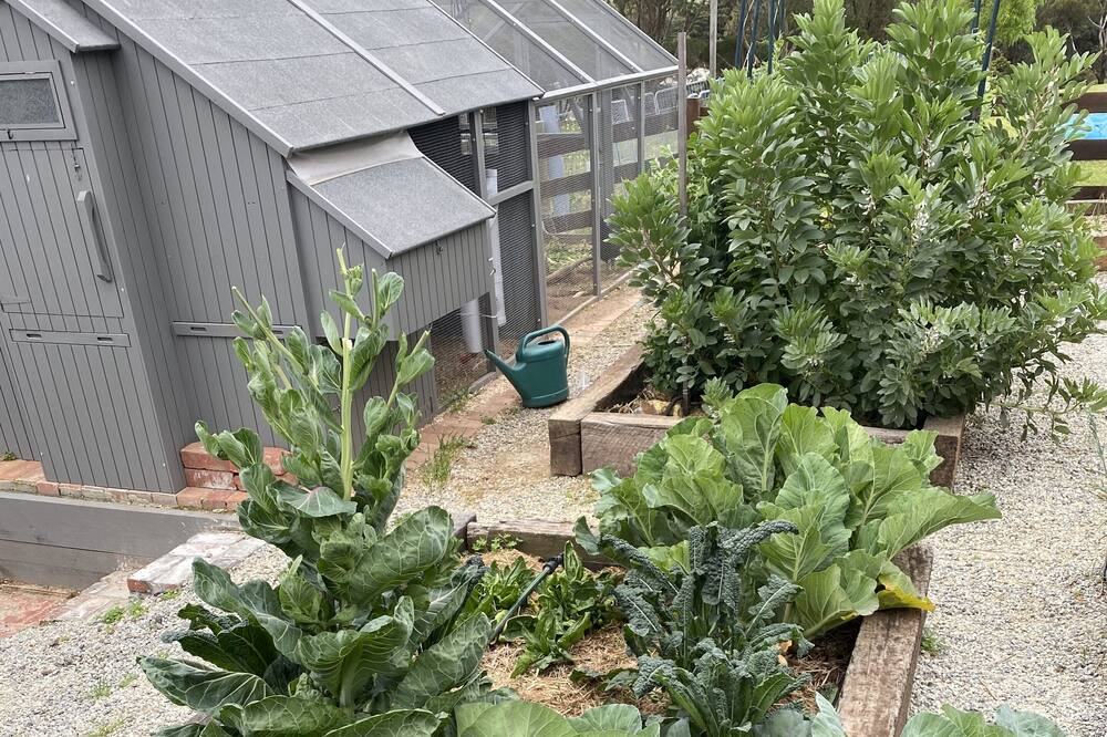 Photo of Outdoor in Waurn Ponds
