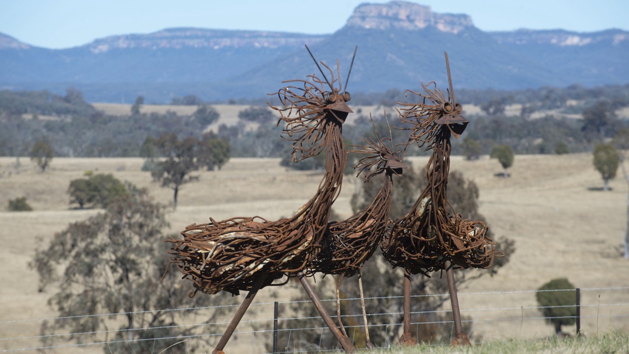 Photo of Outdoor in Glen Alice