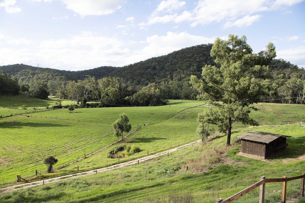 Photo of Others in Upper Colo