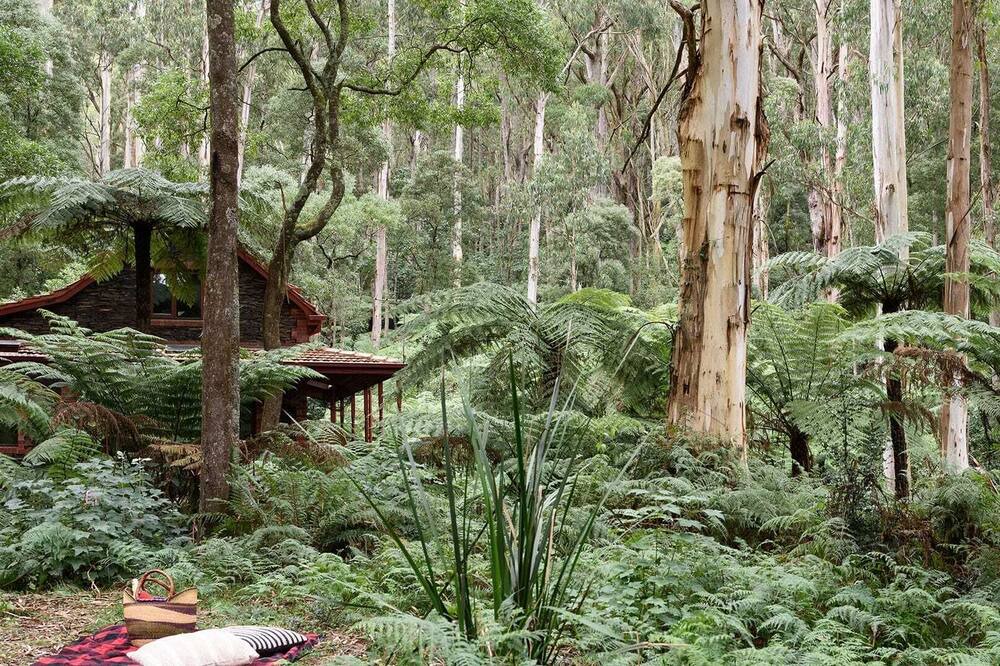 Photo of Others in Mount Toolebewong