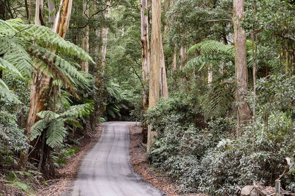 Photo of Others in Mount Toolebewong