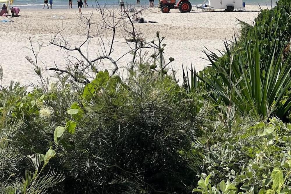 Photo of Others in Cabarita Beach
