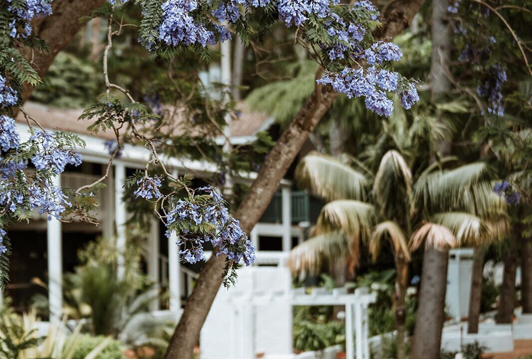 Photo of Outdoor in Jamberoo