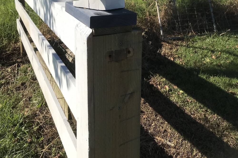Photo of Outdoor in Oxley Island