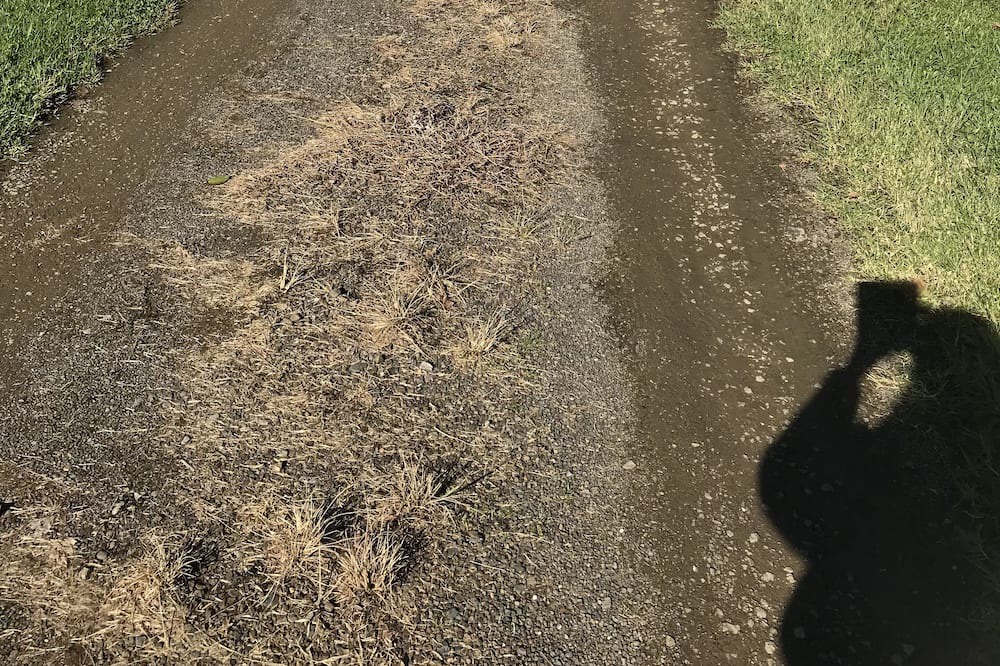 Photo of Outdoor in Oxley Island