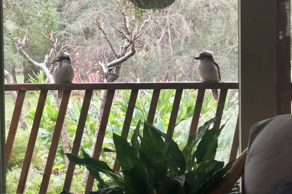 Photo of Patio Balcony in Badger Creek