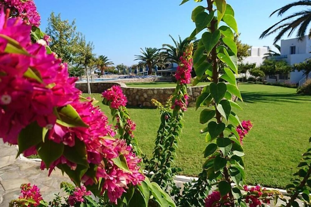 Photo of Outdoor in Skiros