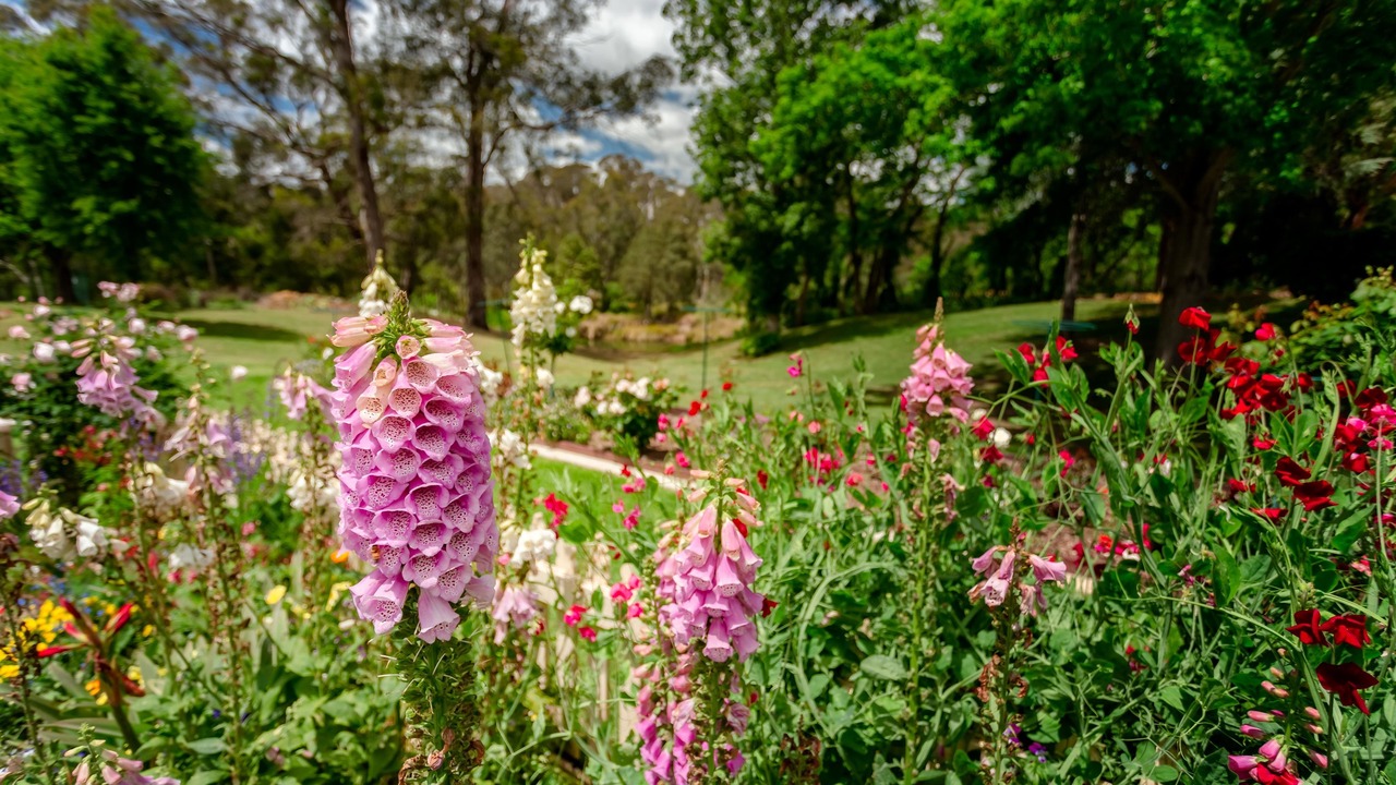 Photo of Outdoor in Berrima