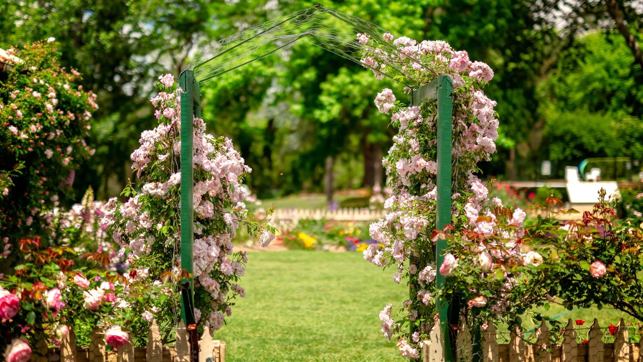 Photo of Outdoor in Berrima