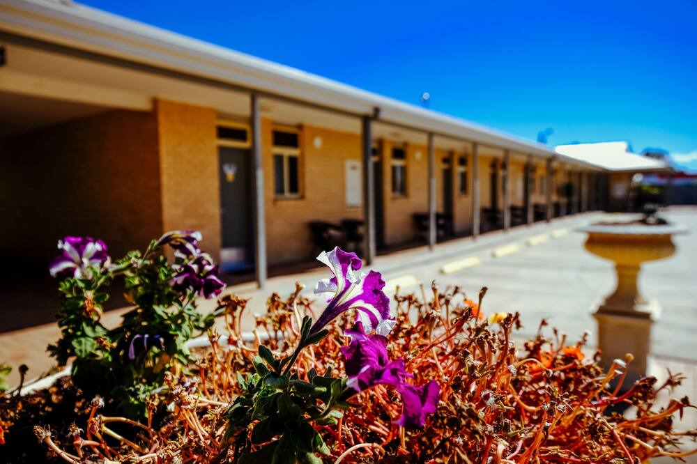 Photo of Outdoor in Narrabri