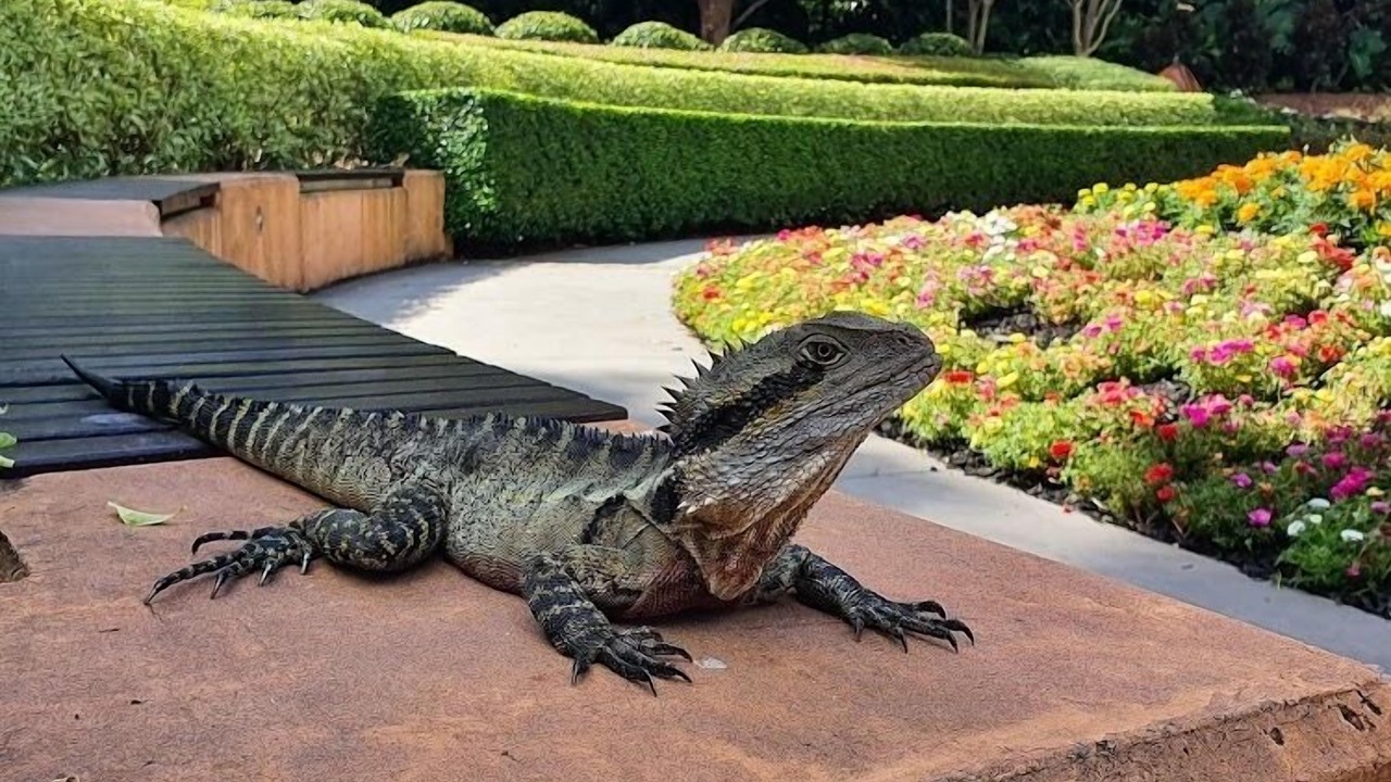 Photo of Others in Spring Hill