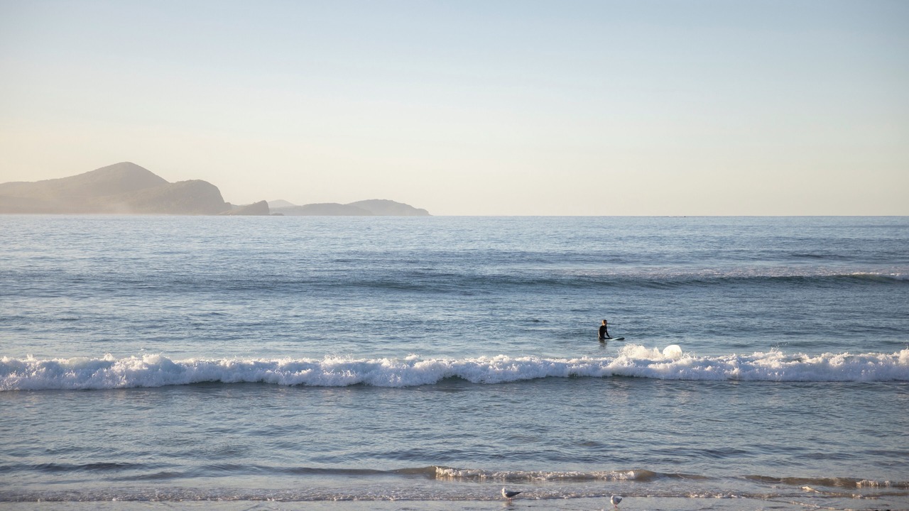 Photo of Others in Seal Rocks