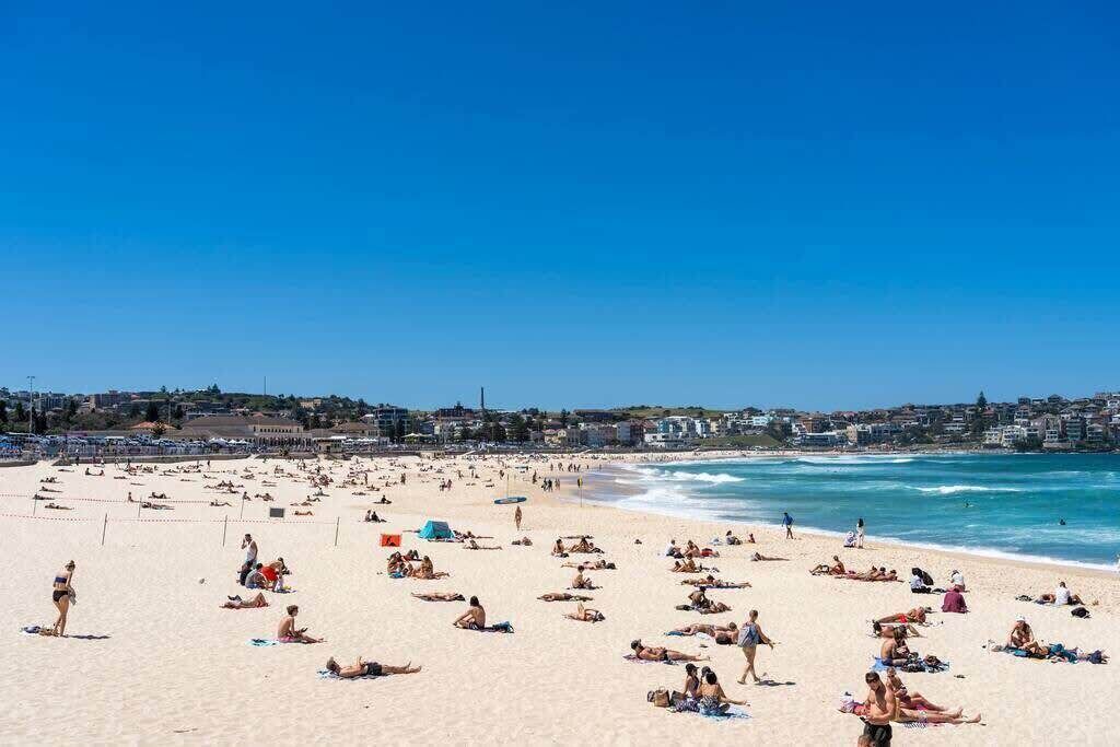 Photo of Others in Bondi