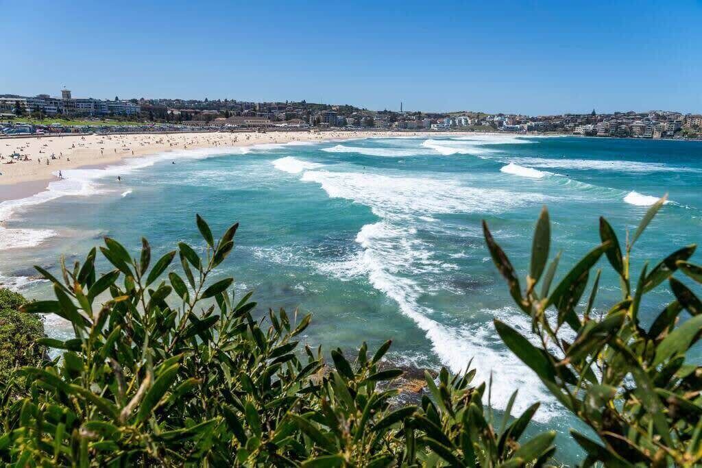 Photo of Others in Bondi