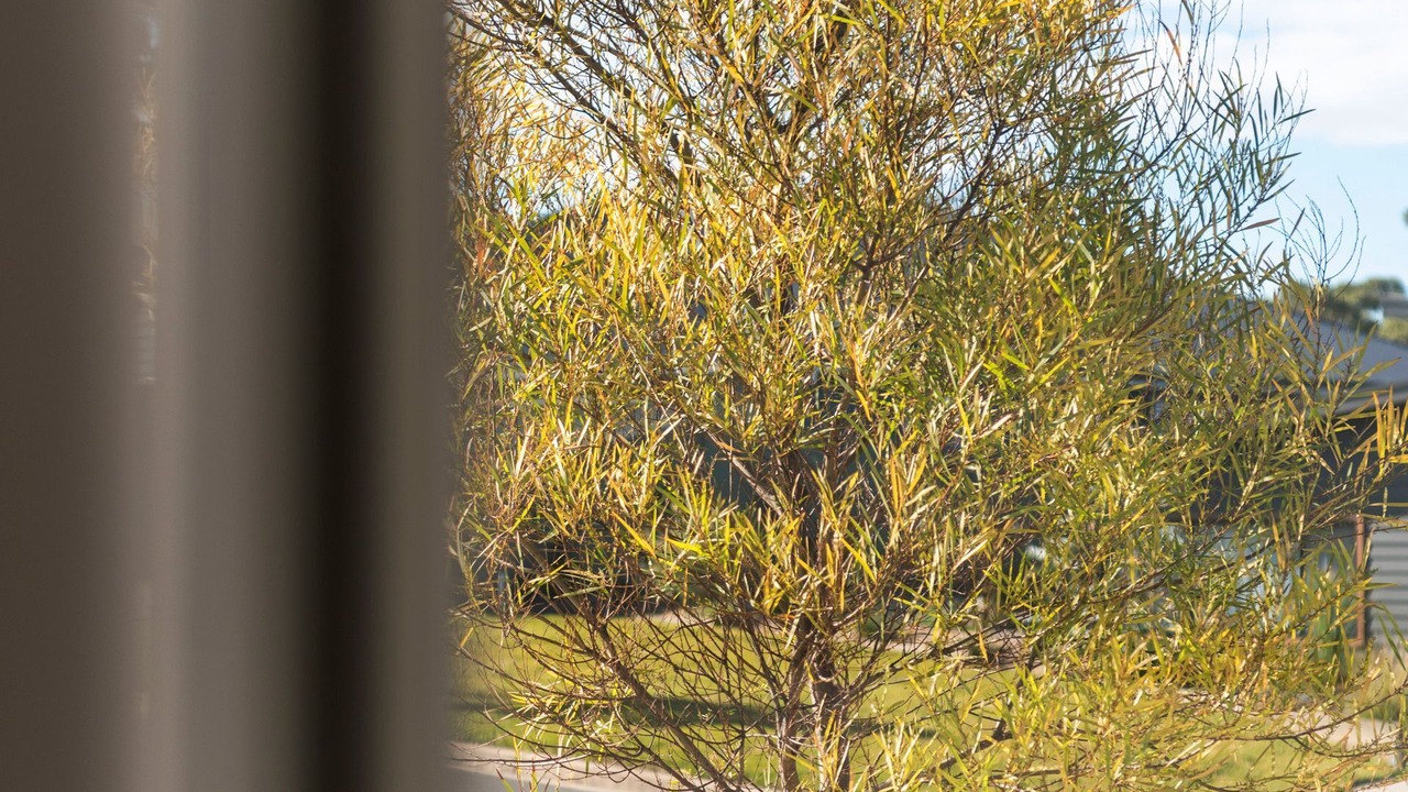 Photo of Others in Narrawallee