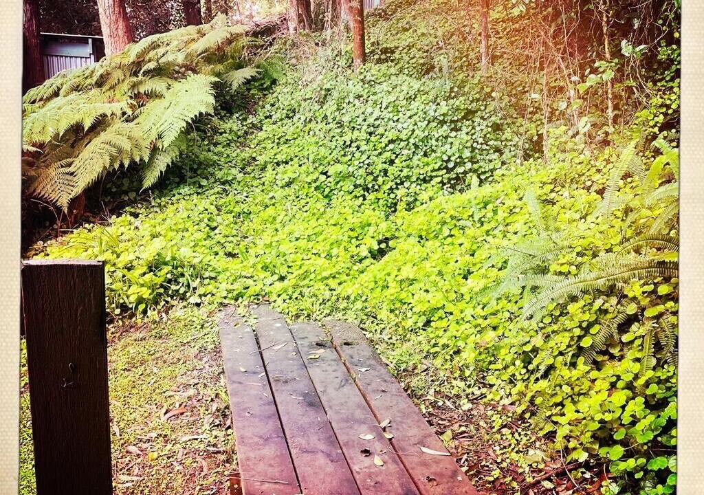 Photo of Outdoor in Lower Macdonald