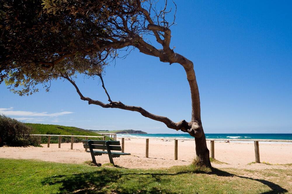 Photo of Others in Dee Why