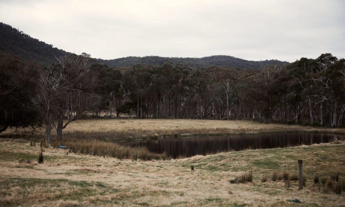 Photo of Outdoor in Towrang