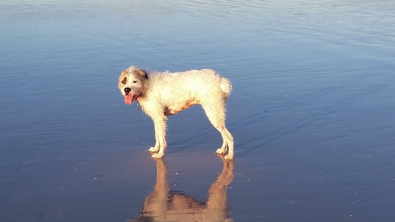 Photo of Others in Cable Beach