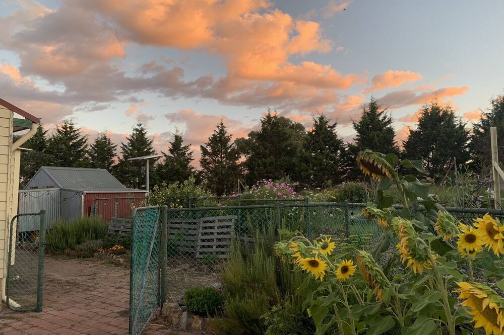 Photo of Outdoor in O'connell