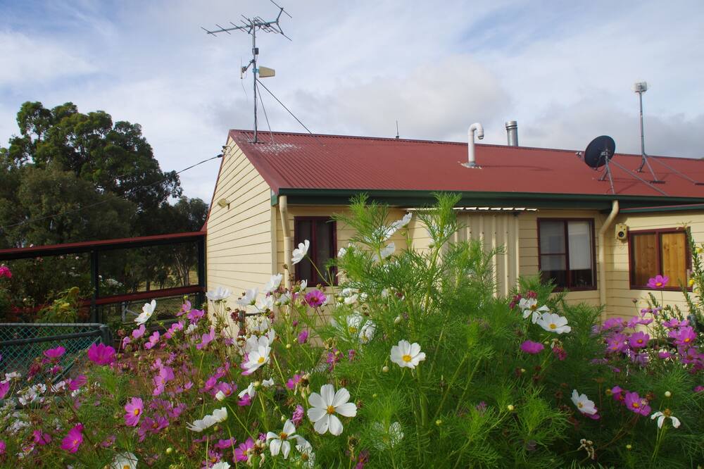 Photo of Outdoor in O'connell
