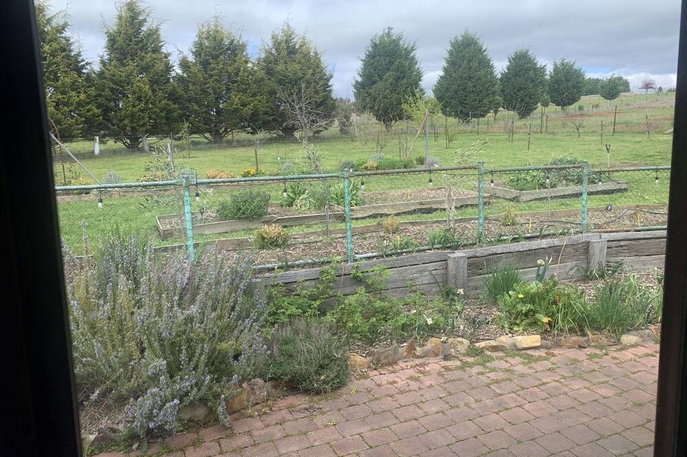 Photo of Patio Balcony in O'connell